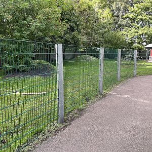 Lowland Tapir/Capybara Exhibit