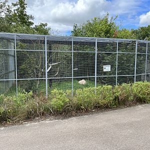 Red-handed Tamarin Exhibit