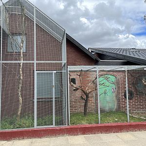 Goeldi’s Monkey Exhibit