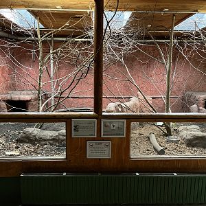 Leopard Tortoise/Yellow Armadillo Exhibit