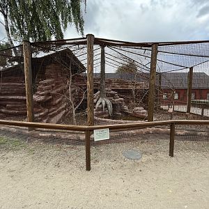 Patas Monkey Exhibit