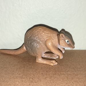 Cadbury Yowie Forgotten Friends A: Broad-faced Potoroo