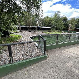 Humboldt Penguin Exhibit