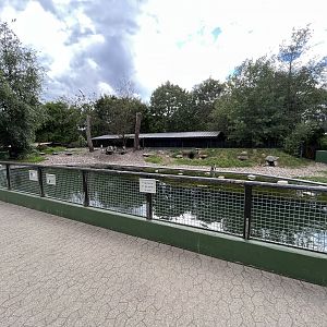 Humboldt Penguin Exhibit