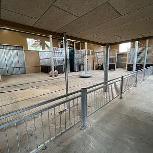 Giraffe House - New in 2022