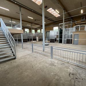 Giraffe House - New in 2022