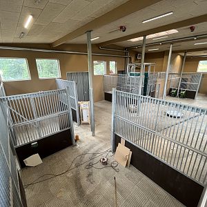 Giraffe House - New in 2022