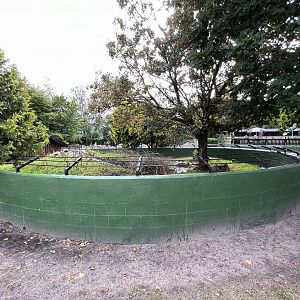 Small-clawed Otter Exhibit