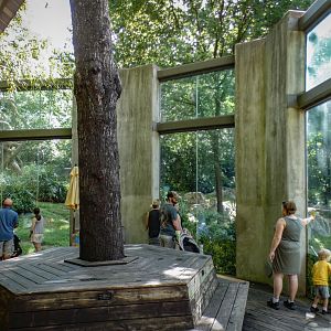 Aug. 2022 - Africa - Kitera Forest - Chimpanzee Exhibit Left Viewing