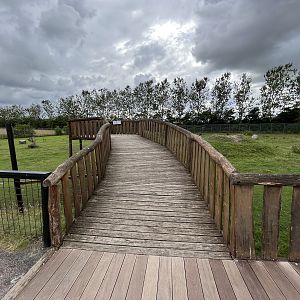 Giraffe/Zebra/Ostrich Exhibit