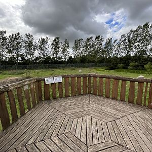 Giraffe/Zebra/Ostrich Exhibit