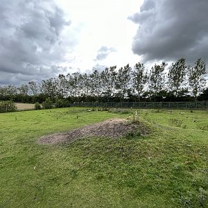 Giraffe/Zebra/Ostrich Exhibit