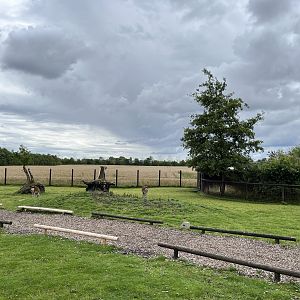 Walk Through Sika Deer Exhibit