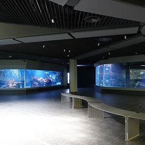 Aquarium level view