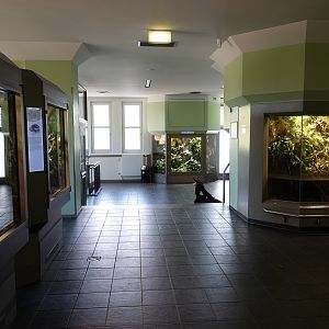 Amphibian level view