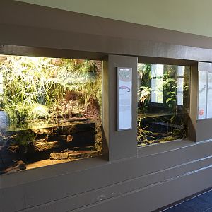 Newt exhibits