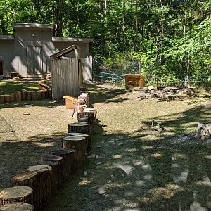 Tortoise Yards