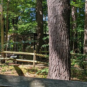 Inaccessible Bird Exhibits