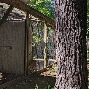 Inaccessible Bird Aviaries
