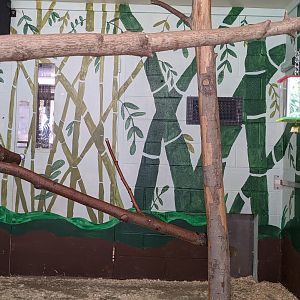 B&W Ruffed Lemur inside