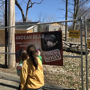 Coming Soon - Andean Bears return to Beardsley Zoo