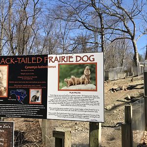 Prairie Dog Sign