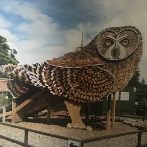 Owl playpark (2013)