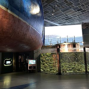 Giant Ship + First Tank