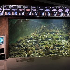 Jutland Reef Tank