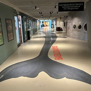 Hallway (with tanks in walls)