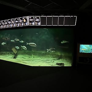 North Sea Exhibit