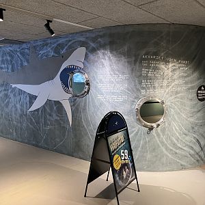Interactive Shark Display (no live animals)