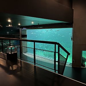 One Million Gallon Oceanarium