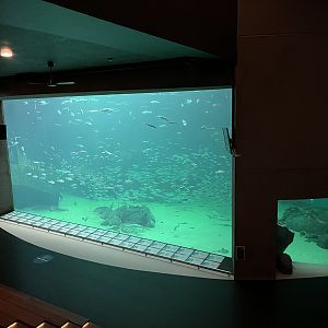 One Million Gallon Oceanarium