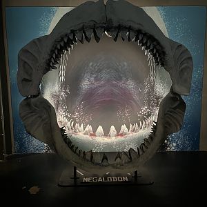 Megalodon