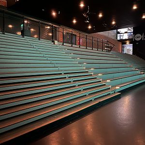 One Million Gallon Oceanarium Viewing