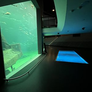 One Million Gallon Oceanarium