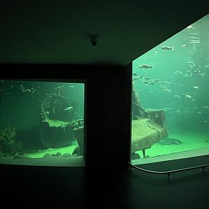 One Million Gallon Oceanarium