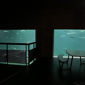 One Million Gallon Oceanarium