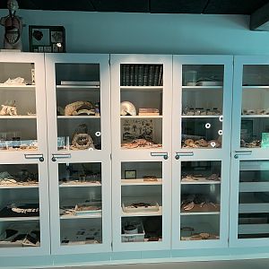 Cabinet of Curiosities