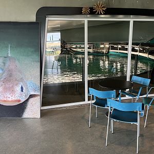 One Million Gallon Oceanarium