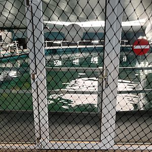 One Million Gallon Oceanarium