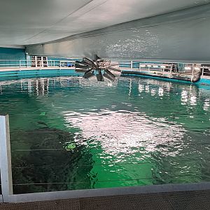 One Million Gallon Oceanarium