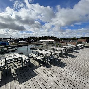Viewing Deck for Seal Exhibit