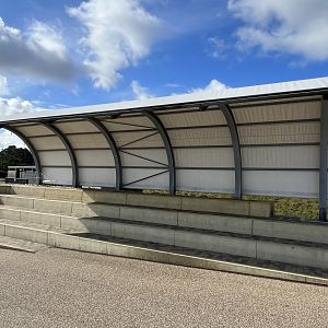 Viewing Area for Seals