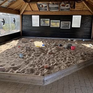 Sandbox in Eating Area