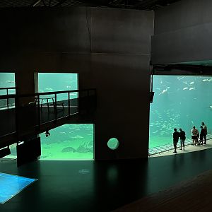 One Million Gallon Oceanarium