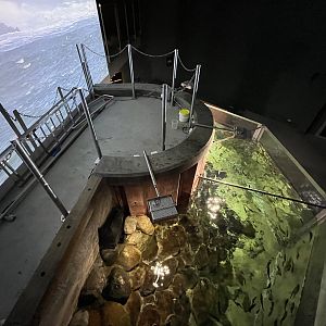 Overhead view of North Sea Tank