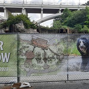 Bear Hollow Construction 1