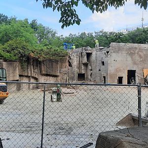 Bear Hollow Construction 2